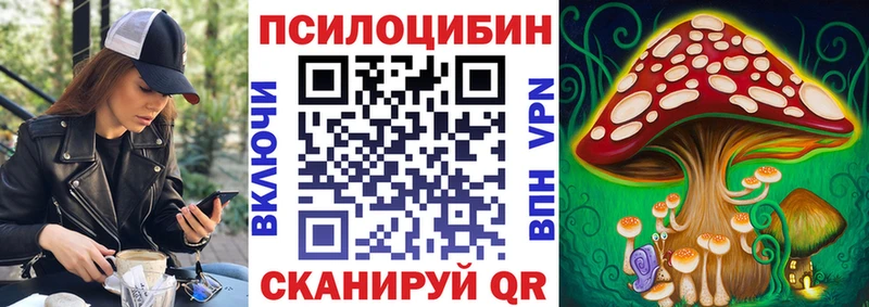 Псилоцибиновые грибы Psilocybine cubensis  Лосино-Петровский 
